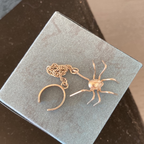 Spider on a Leash - Picture 4 of 8